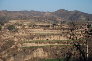 栗樹溝村[河南省濟源市坡頭鎮栗樹溝村]