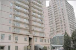 伯寧花園 伯寧花園