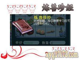 練獸真經 練獸真經