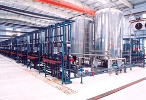 臨沂山松生物製品有限公司 臨沂山松生物製品有限公司