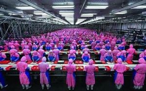 勞動密集型產品