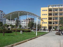 楚雄開發區實驗國小 楚雄開發區實驗國小