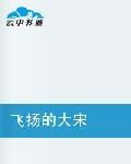 飛揚的大宋