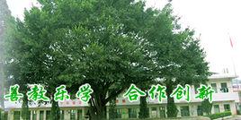 安遠天心中學 安遠天心中學