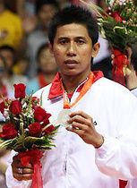 維迪安托 維迪安托