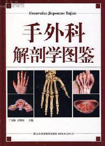手外科學 手外科學