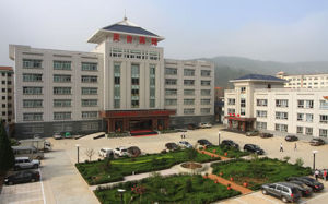 靈台[甘肅省靈台縣]