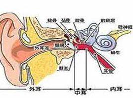 耳內發脹 耳內發脹