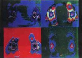 彩色圖像流動顯示 彩色圖像流動顯示