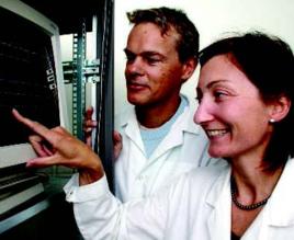 大腦導航 大腦導航