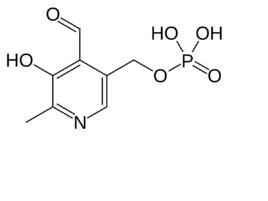 維生素B6(鹽酸吡哆醇) 維生素B6(鹽酸吡哆醇)