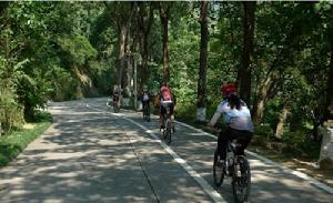 溫泉賓館段綠道