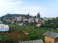 稗子田村[雲南牟定縣共和鎮下轄村]