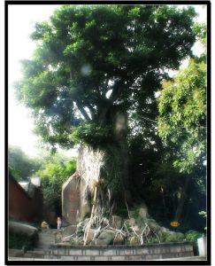 獅子岩[福建福州市于山獅子岩]