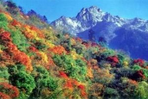 趕羊溝風景區 趕羊溝風景區