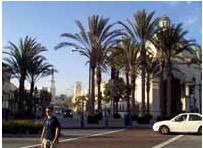 加州大學洛杉磯分校