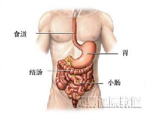 老年消化道出血