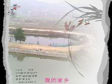 雷鋒村[衡陽縣井頭鎮雷峰村]