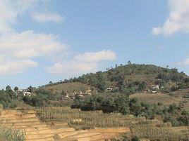 彎子村委會 彎子村委會