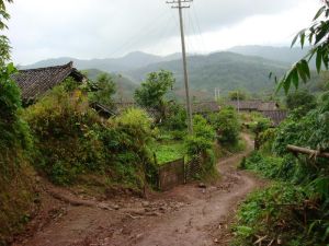 老白寨自然村 老白寨自然村