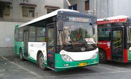 佛山公交143路 佛山公交143路