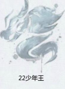 22少年王 22少年王