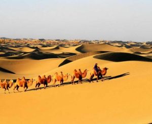 阿拉善沙漠 阿拉善沙漠