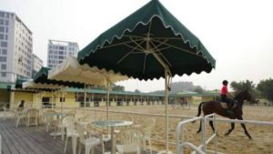 標卓馬術會 標卓馬術會