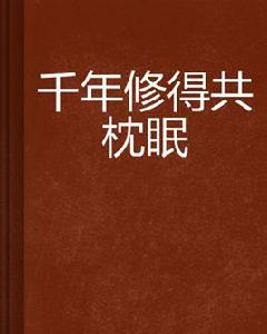 千年修得共枕眠 千年修得共枕眠