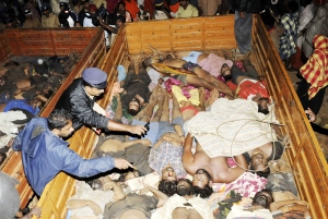 1·14印度喀拉拉邦重大踩踏事故 1·14印度喀拉拉邦重大踩踏事故