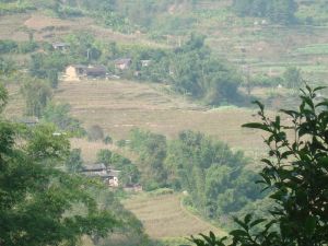 老鷹窩村 老鷹窩村