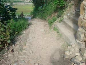 迤龍樹自然村 迤龍樹自然村