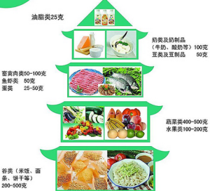 富含營養素的食物