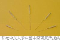 五毒梅花針 五毒梅花針