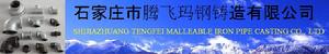 石家莊市騰飛瑪鋼鑄造有限公司