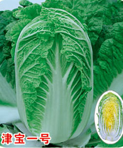 津寶一號 津寶一號