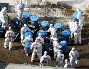 日本發現H5N8病毒