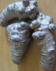 三七提取物 三七提取物