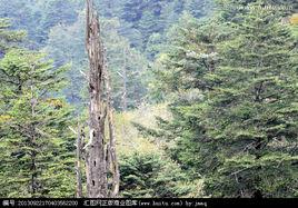 洛俄依甘鄉 洛俄依甘鄉