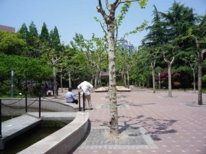 管弄公園 管弄公園