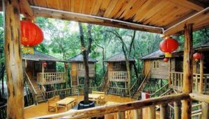 天門溝樹上溫泉 天門溝樹上溫泉