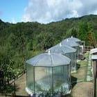 人工氣候室 人工氣候室