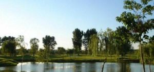 金色河畔高爾夫 金色河畔高爾夫