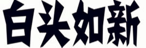 白頭如新，傾蓋如故