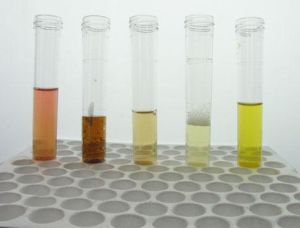 小便帶血 小便帶血