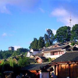 滇菌王大酒店 滇菌王大酒店