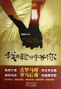 我在輪迴中等你 我在輪迴中等你