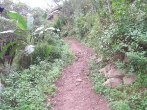 小望月村 小望月村