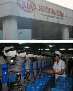 悅達集團經過29年的拼搏努力，發展成在國內外擁有兩家上市公司、30多家分子公司、200多億元總資產的大型重點國有企業，形成了汽車和紡織兩大產業支柱，構建了機械製造、紡織服裝、能源礦產、基礎設施投資、現代服務業等五大產業集群，與包括3家世界500強在內的全球12家頂級公司實現了密切地合資合作。位居全國重點企業前百強、江蘇省重點規模企業前10強、江蘇長江以北地區第一大國有企業行列。為鹽城全面建設小康社會作出了較大貢獻，在蘇北欠發達地區走出了一條具有悅達特色的科學發展之路。