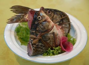 瓤荷包鯽魚 瓤荷包鯽魚